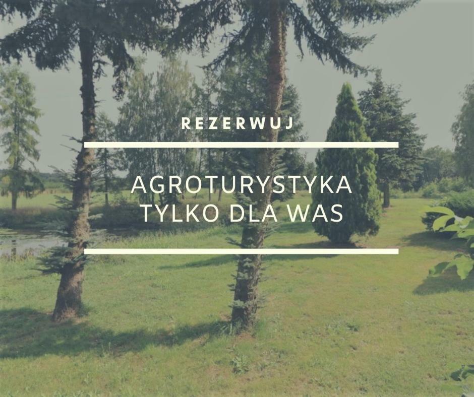 Dom Wakacyjny Z Ogromnym Ogrodem Witaszyn 외부 사진